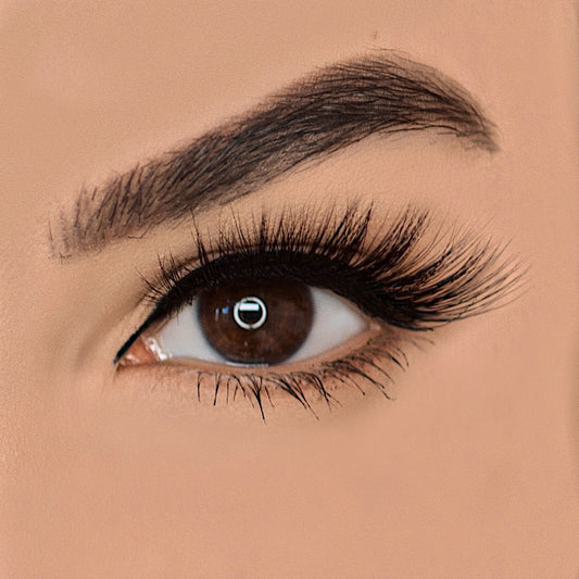 Dream Lashes