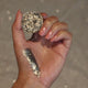 Moonstone Pressed Glitter